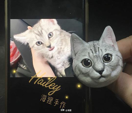 海狸图片,自然界的工程大师与生态守护者