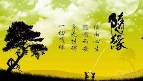 随缘图片大全,捕捉生活美好瞬间