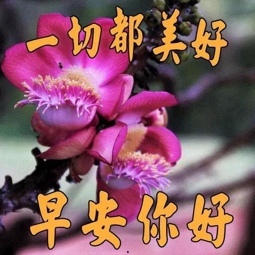 随缘图片大全,捕捉生活美好瞬间
