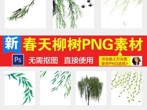 柳树图片大全,柳树图片大全中的自然画卷