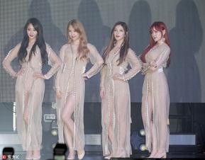 韩国女团美腿诱惑照片,美腿诱惑，一瞥韩国女团风采