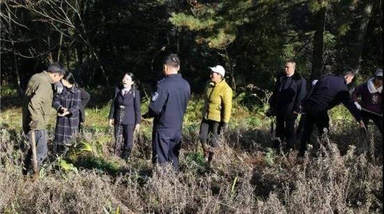 环境污染视频,视频背后的真相与反思