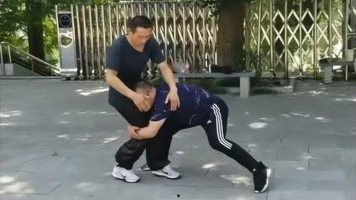通臂拳视频,视频教学中的招式解析与实战技巧
