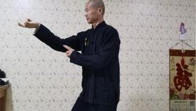 通臂拳视频,视频教学中的招式解析与实战技巧
