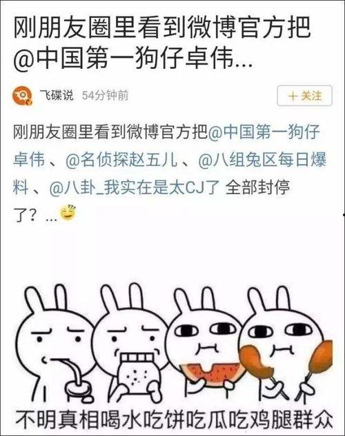 娱乐吃瓜君事件,揭秘网络舆论背后的真相与争议