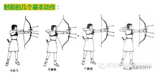 射箭教学视频,掌握技巧，轻松入门
