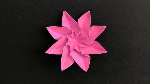 折花大全视频,千姿百态，教你轻松掌握花艺技巧