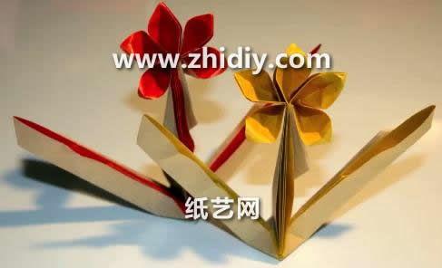 折花大全视频,千姿百态，教你轻松掌握花艺技巧