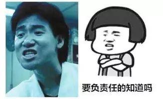 视频变表情包,轻松打造趣味横生的网络文化新宠