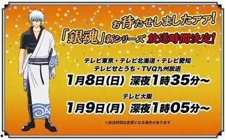 日本暴力破除,社会和谐之路的探索与实践