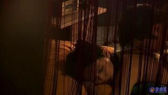 电影黑影床戏视频,惊悚悬疑下的禁忌诱惑