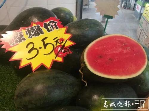 今日大蓬瓜价格多少,涨跌互现，市场动态解析