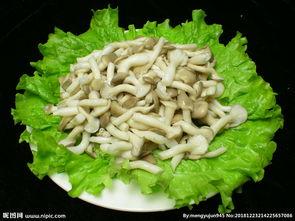鸡菇图片,大自然的馈赠与美食的邂逅