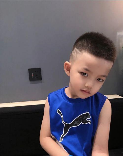 五岁男孩小鸡图片大全,温馨图片集锦
